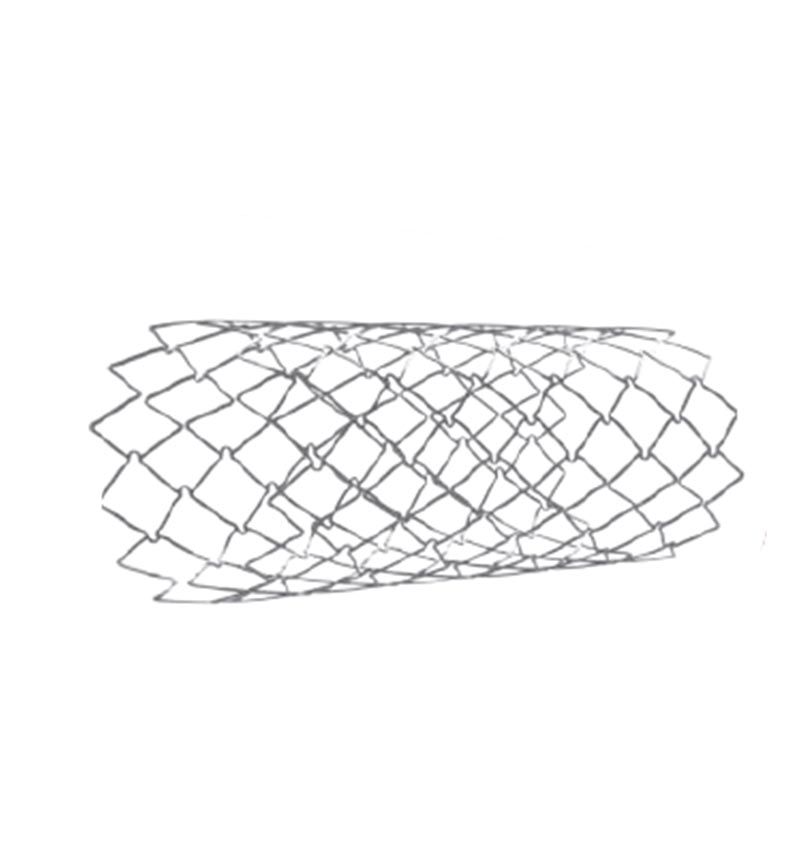 OPTIMUS CO CR STENT