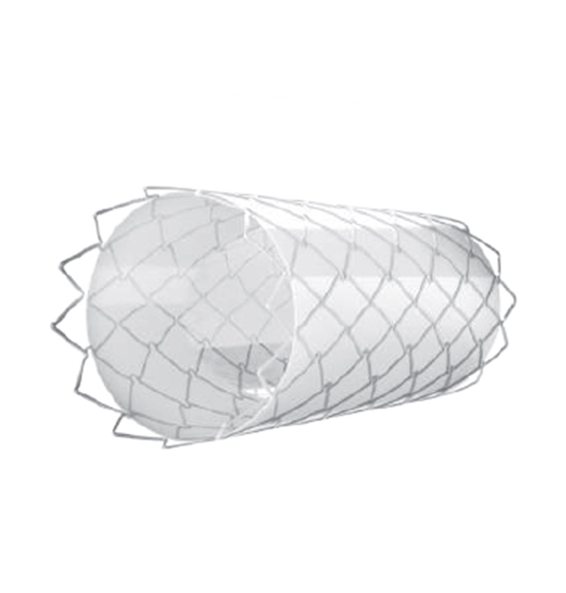 OPTIMUS CVS PTFE COVERED STENT